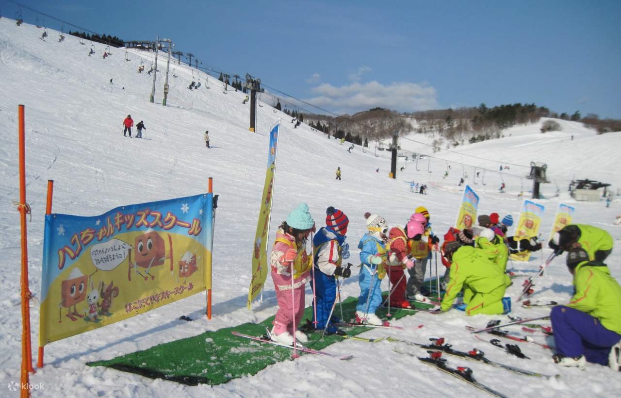 滋贺箱馆山双模式】全天滑雪畅滑撒欢/ 半天玩雪+ 水杉秘境+ 温泉暖汤